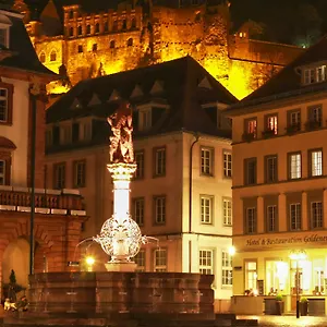 https://goldener-falke.hotelsheidelberg.net